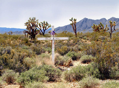 Desert Roadside Memorial