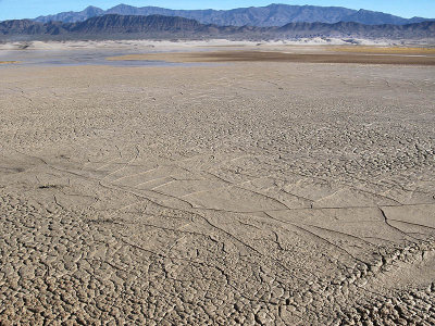 Tecopa Mud Flats 