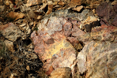 Colorful rock