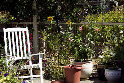 rocker and patio flowers 