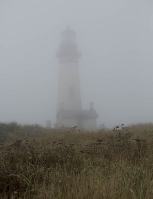 Yaquina Head lighthouse in fog