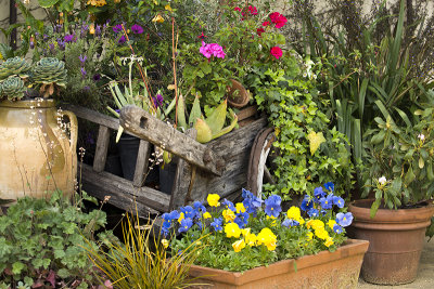 Wooden wagon and clay pots with flowers