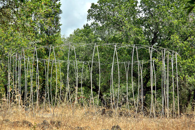 bent silver tubing.jpg