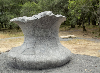 concrete vase.jpg