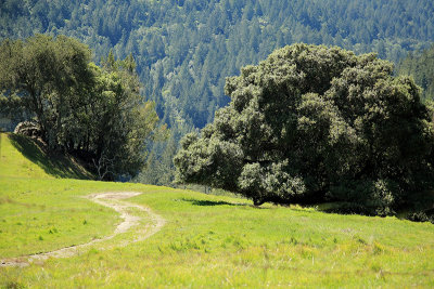 Dirt Road in Sugarloaf