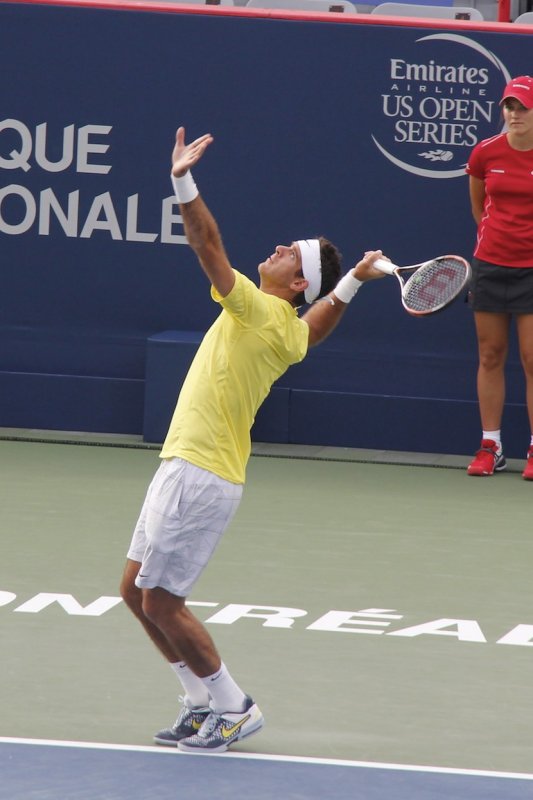 Del Potro (Argentina) against Raonic.jpg