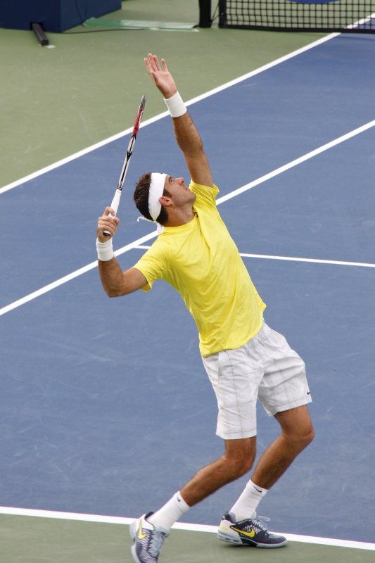 Del Potro (Argentina) against Raonic.jpg