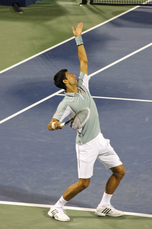 Djokovic (Serbia) against Istomin.jpg