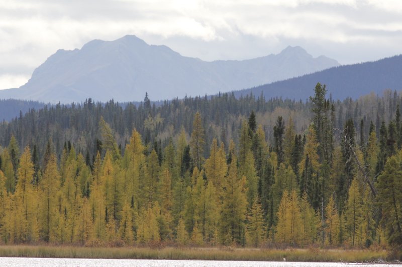 Gregg Lake, Switzer PP.jpg