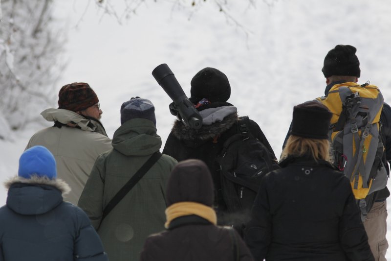 Confusion of birders.jpg