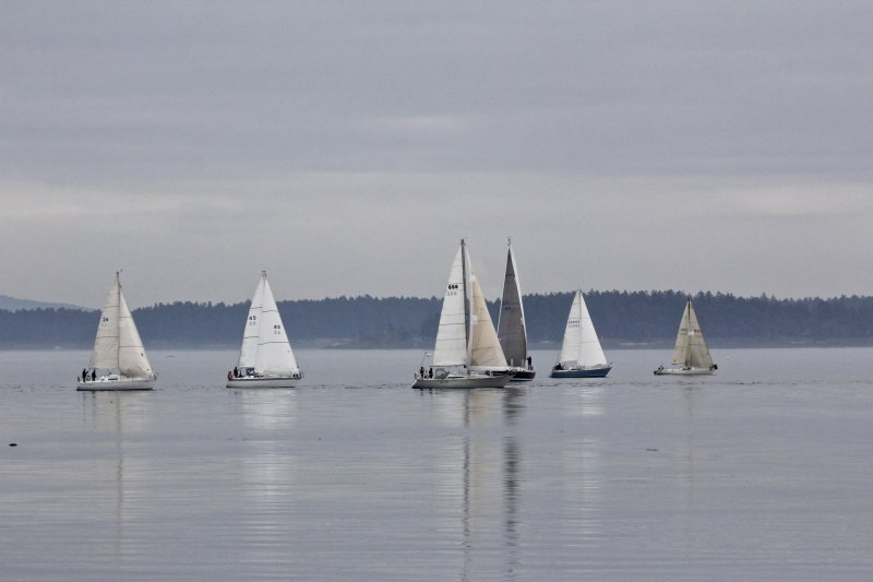 Sail boats