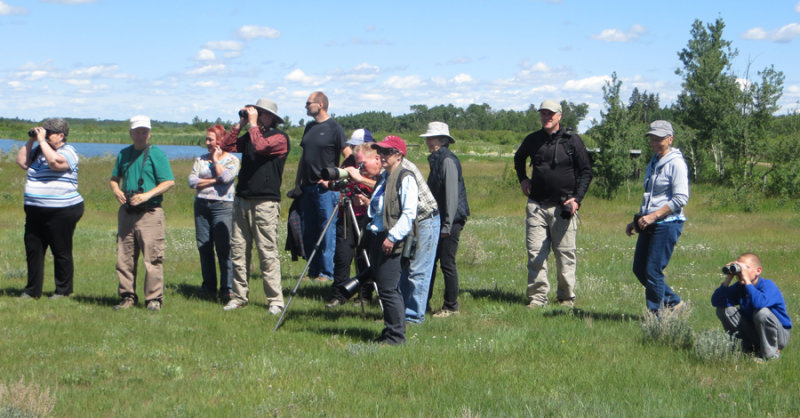 Halkirk Birders