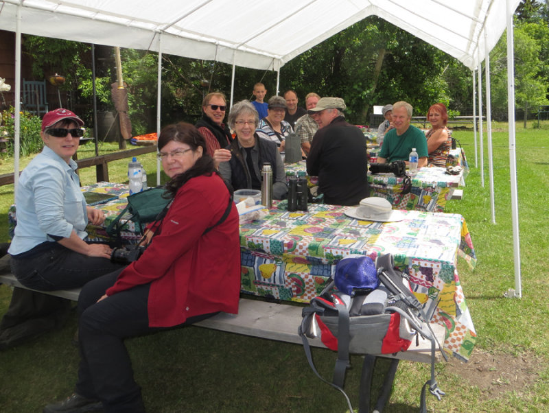 Halkirk Birders