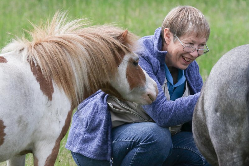 Miniature Horses