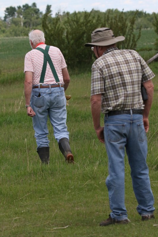Halkirk farm