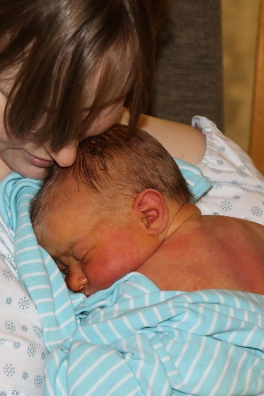 Noah Felix 1 day old Oct 18 15.jpg