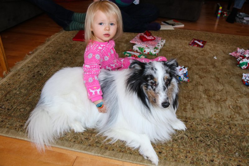 Rosie and Brodie Christmas Day 2015