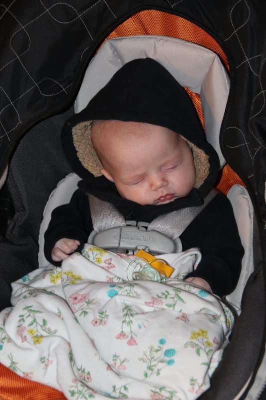 Cora Christmas Day 2015.jpg