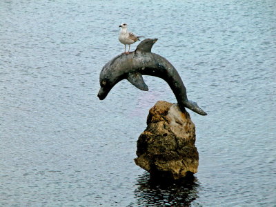 Porto Torres - il Delfino con Gabbiano