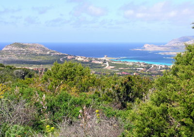 Stintino - Veduta da Torre Falcone