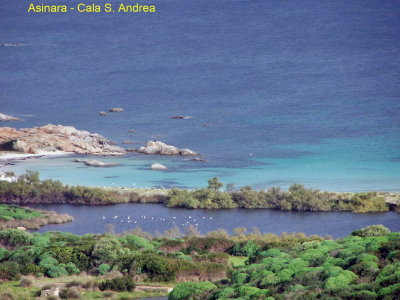 Asinara - Cala Sant'Andrea