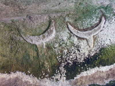 Porto Torres - Su crucifissu mannu  - protomi taurine risparmiate sulla parete della cella