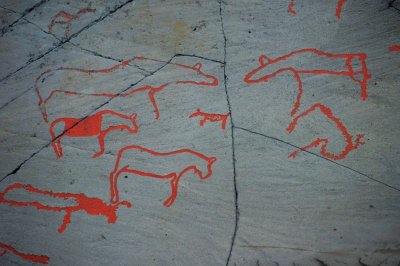 07.jpg