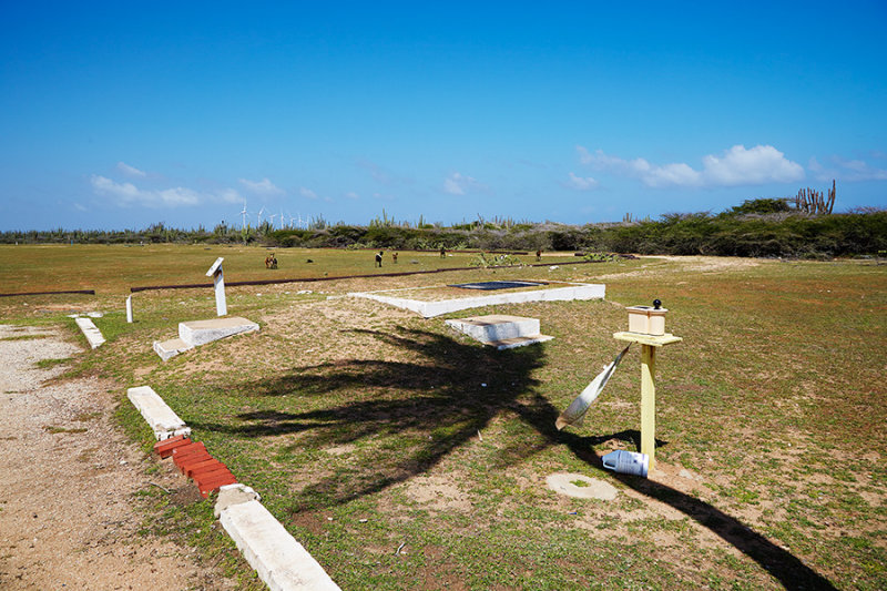 _02C7784.jpg