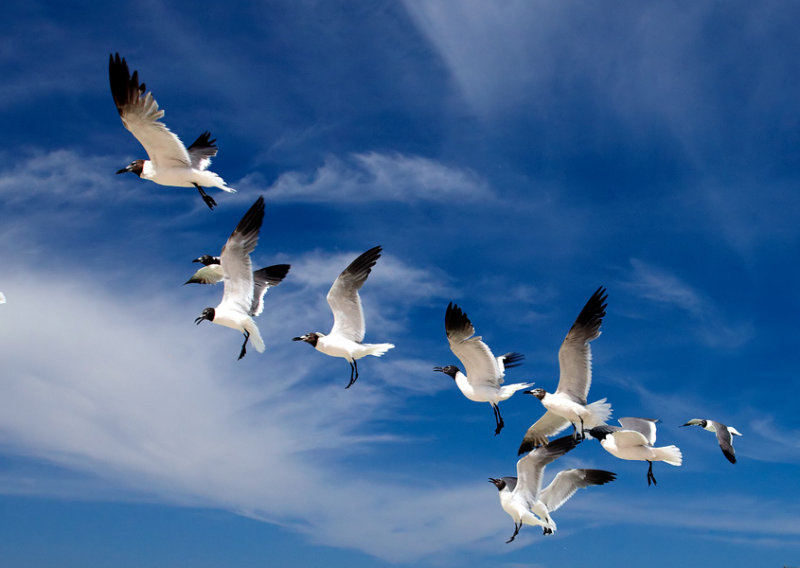 _S0C6380_filtered58125x4125.jpg