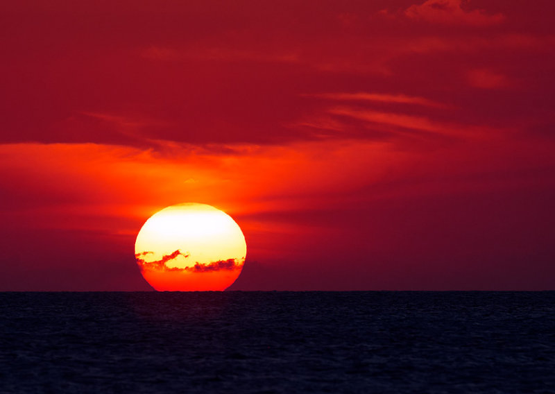 _S0C9261_filtered58125x4125.jpg