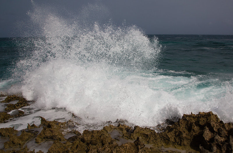 _02C3348.jpg