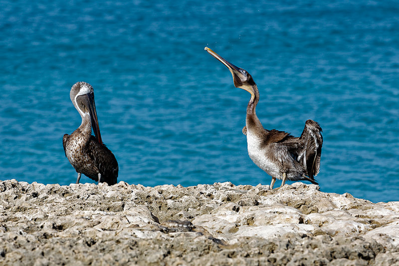 _02C9206_DxO.jpg
