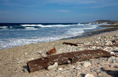 CLBR 0191 seascape with log .jpg