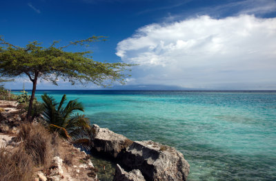 CLBR 6122 lagoon with scrub and rocks .jpg