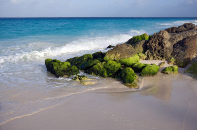 CLBR 6440 seascape with green rocks .jpg