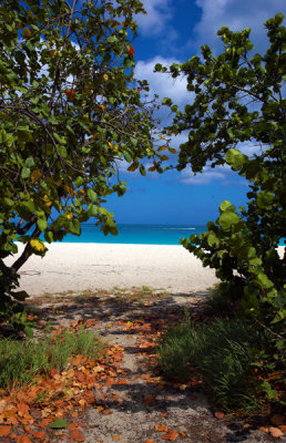 CLBR 7876 path to beach .jpg