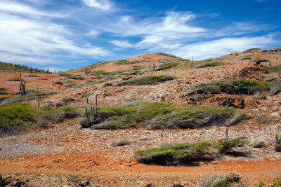CLBR 8571 red dirt landscape .jpg