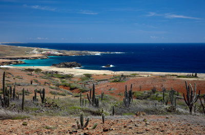 CLBR 8629 landscape and seascape .jpg