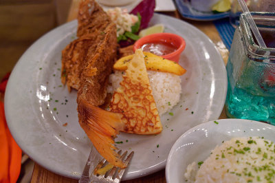 DXO_2784_DxO.jpg