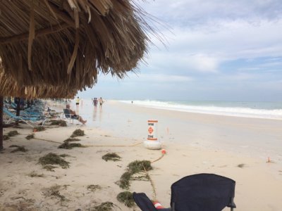 CLBR Beach After Hurricane Matthew