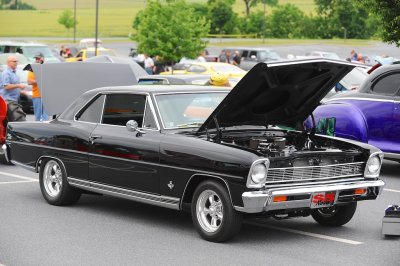 BLC_9315.jpg