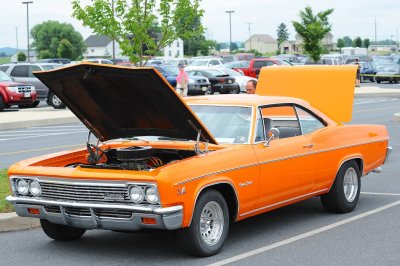 BLC_9384.jpg