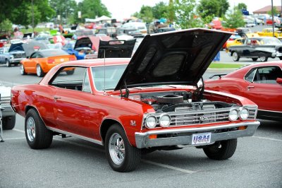 BLC_1835.jpg