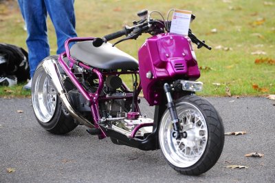 BLC_3984.jpg