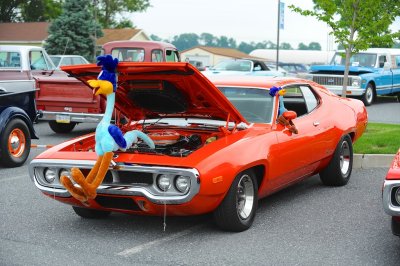 BLC_4473.jpg