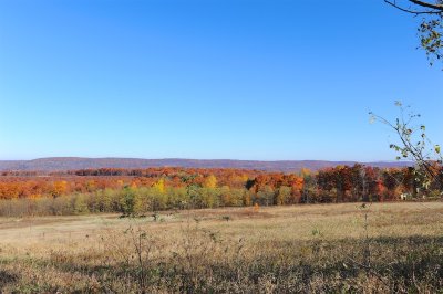 BLC_6712.jpg