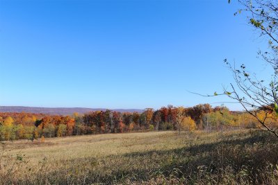 BLC_6713.jpg