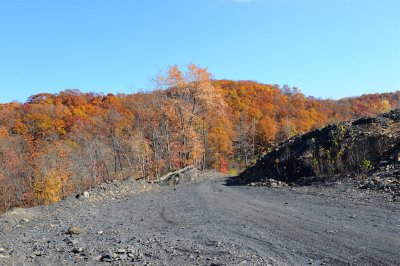 BLC_6771.jpg