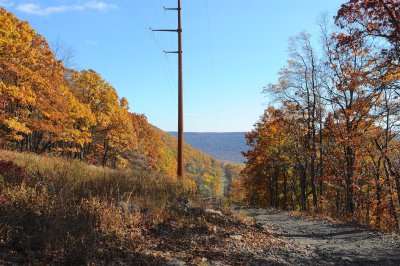 BLC_6778.jpg