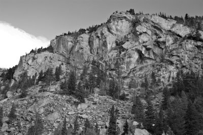 IMG_5529.jpg